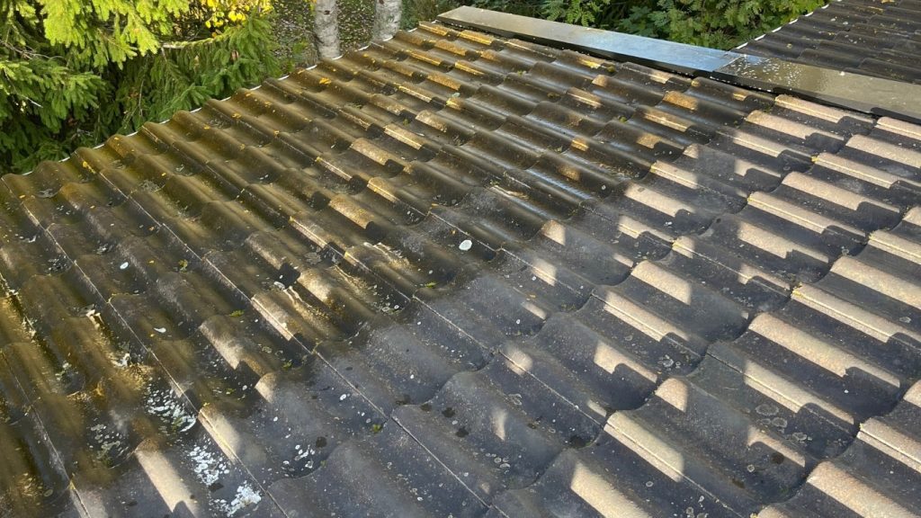 Tegeltak före mekanisk takrengöring i Vasa